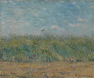 Wheatfield with Partridge